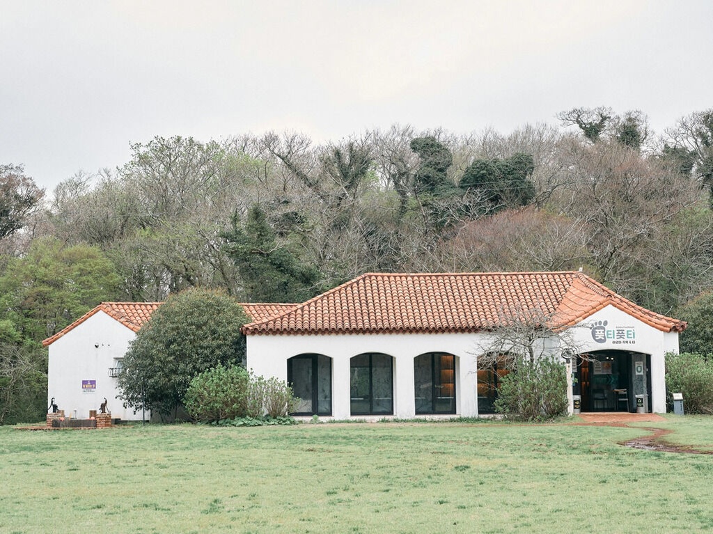 The Great 3 Pools house of El Santo